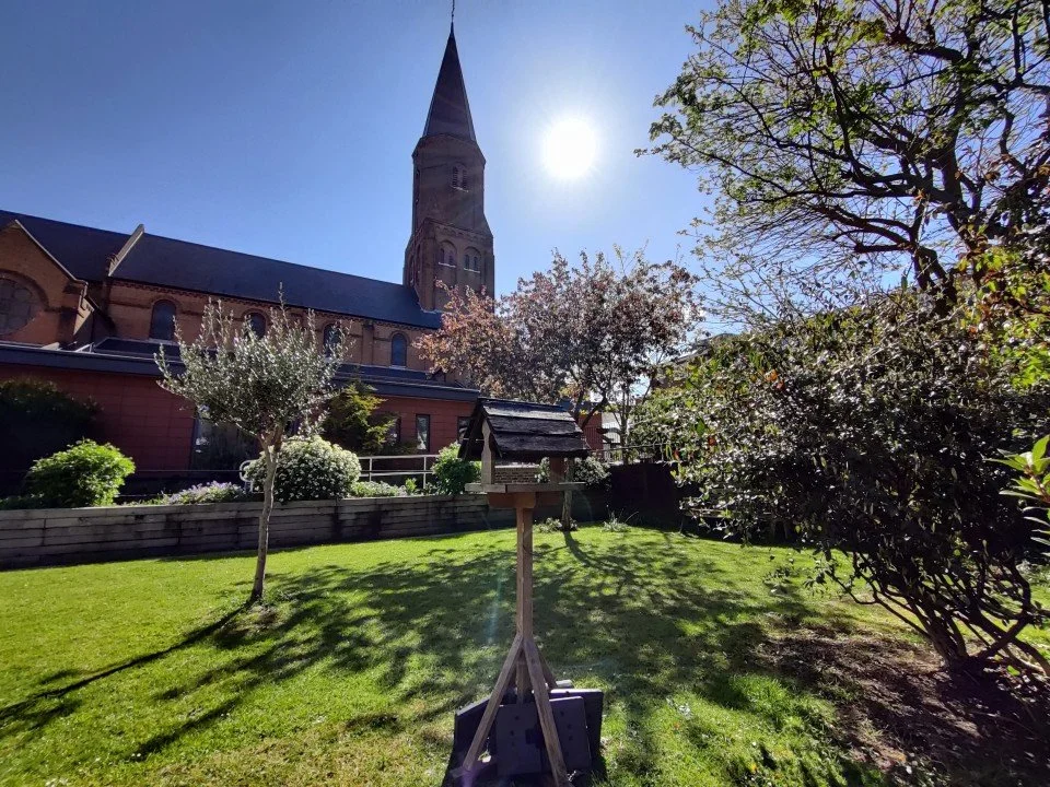 Live your values. Define your goals carefully. Seek success beyond success.