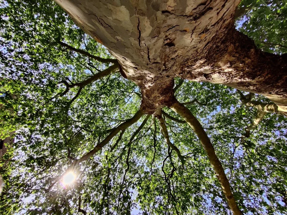 The First Time You Say Something it Will Feel Awkward. But You Don't Give Up. You Practise.