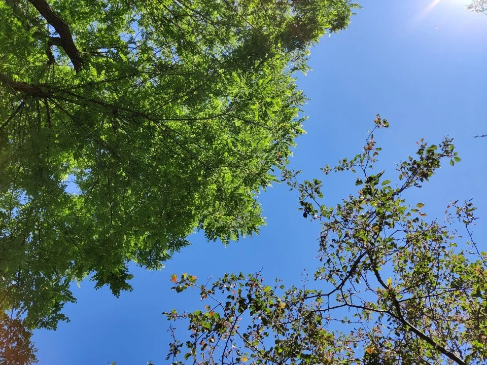 Practice is How I Know I Can Trust Myself, and it’s How I Know I Am Moving Towards Something, Towards Something Bigger, Someone New.