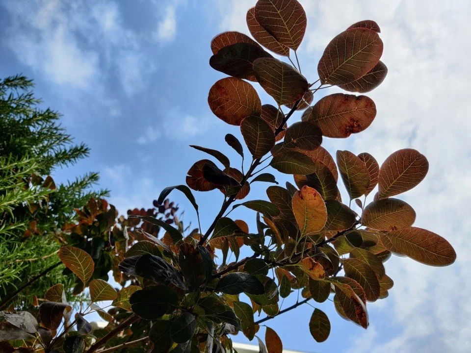 How I Took A Month Off Work