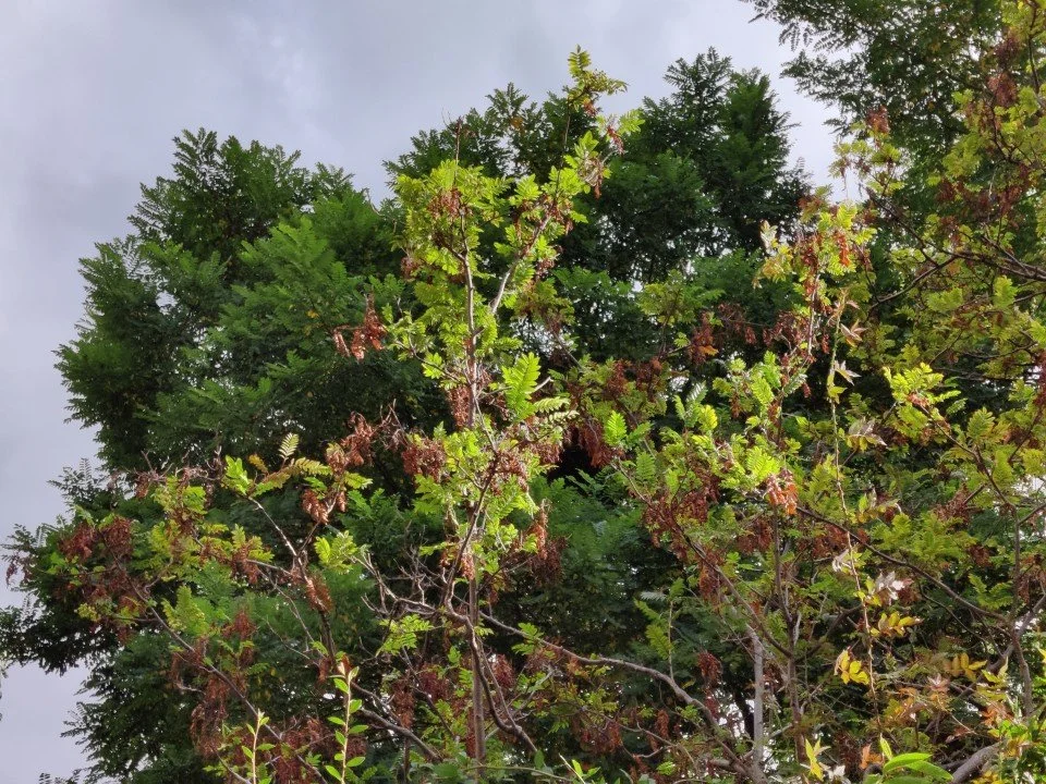 Why You Should Celebrate When Something Actively Dreadful Becomes Only Annoying