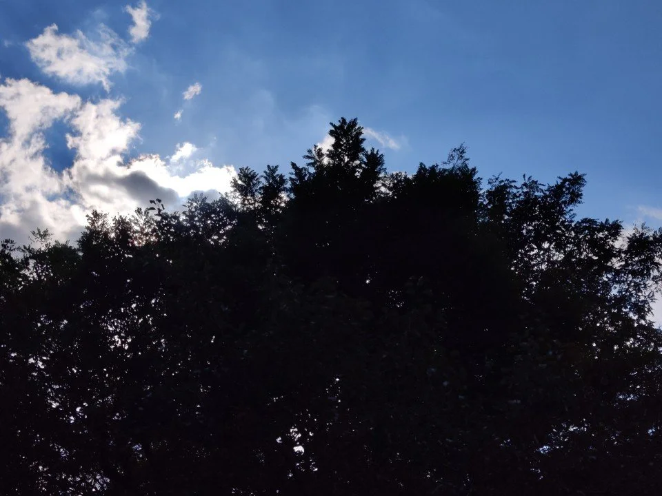 You Can't Think Yourself Hugged