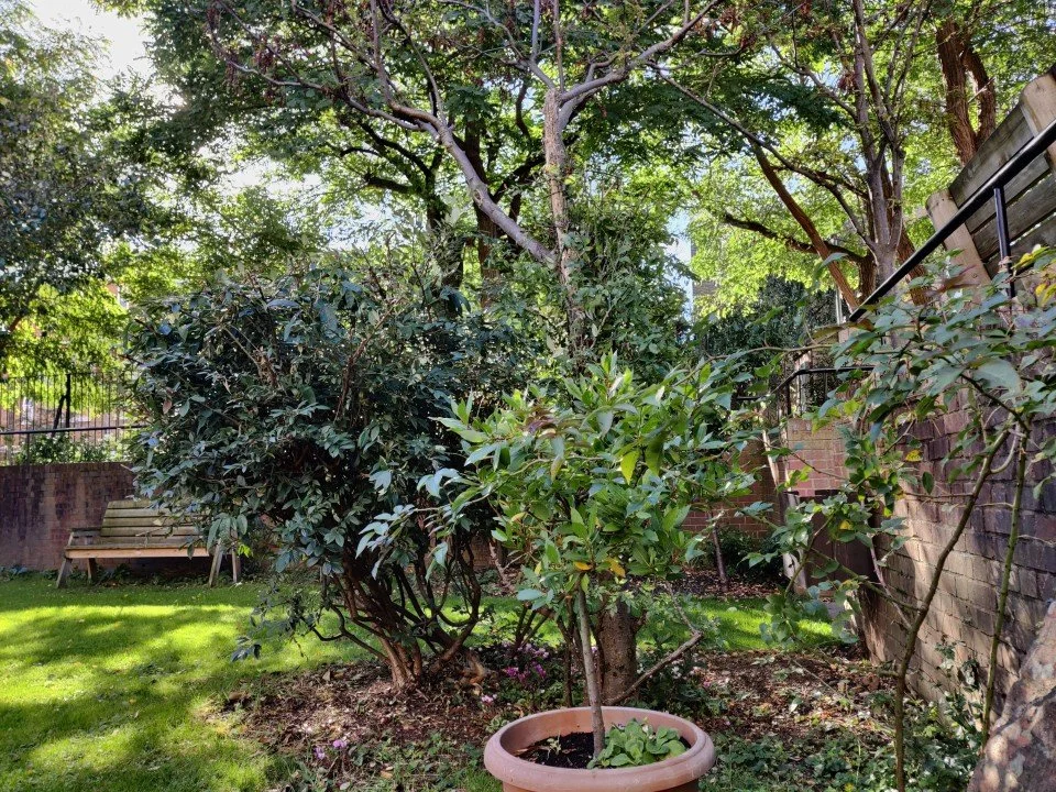 Take What You Have Learned to Where It Matters