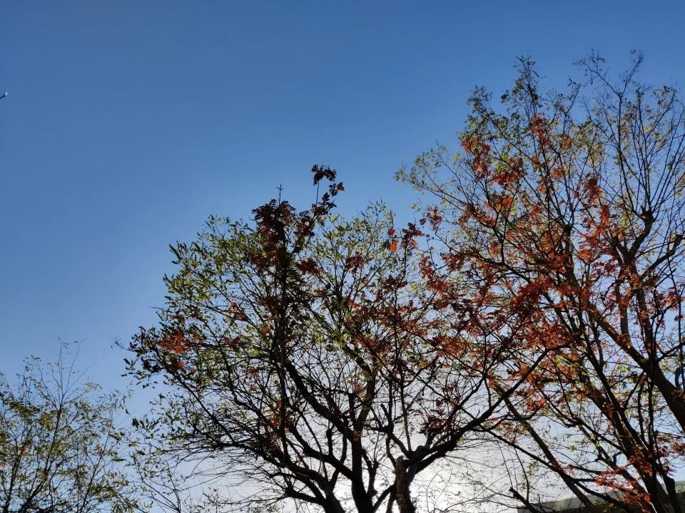 Five Ways to Find Meaning In Your Life