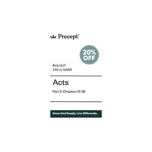 SURPLUS STOCK (20% off): IN & OUT: ACTS PART 2 (NASB)