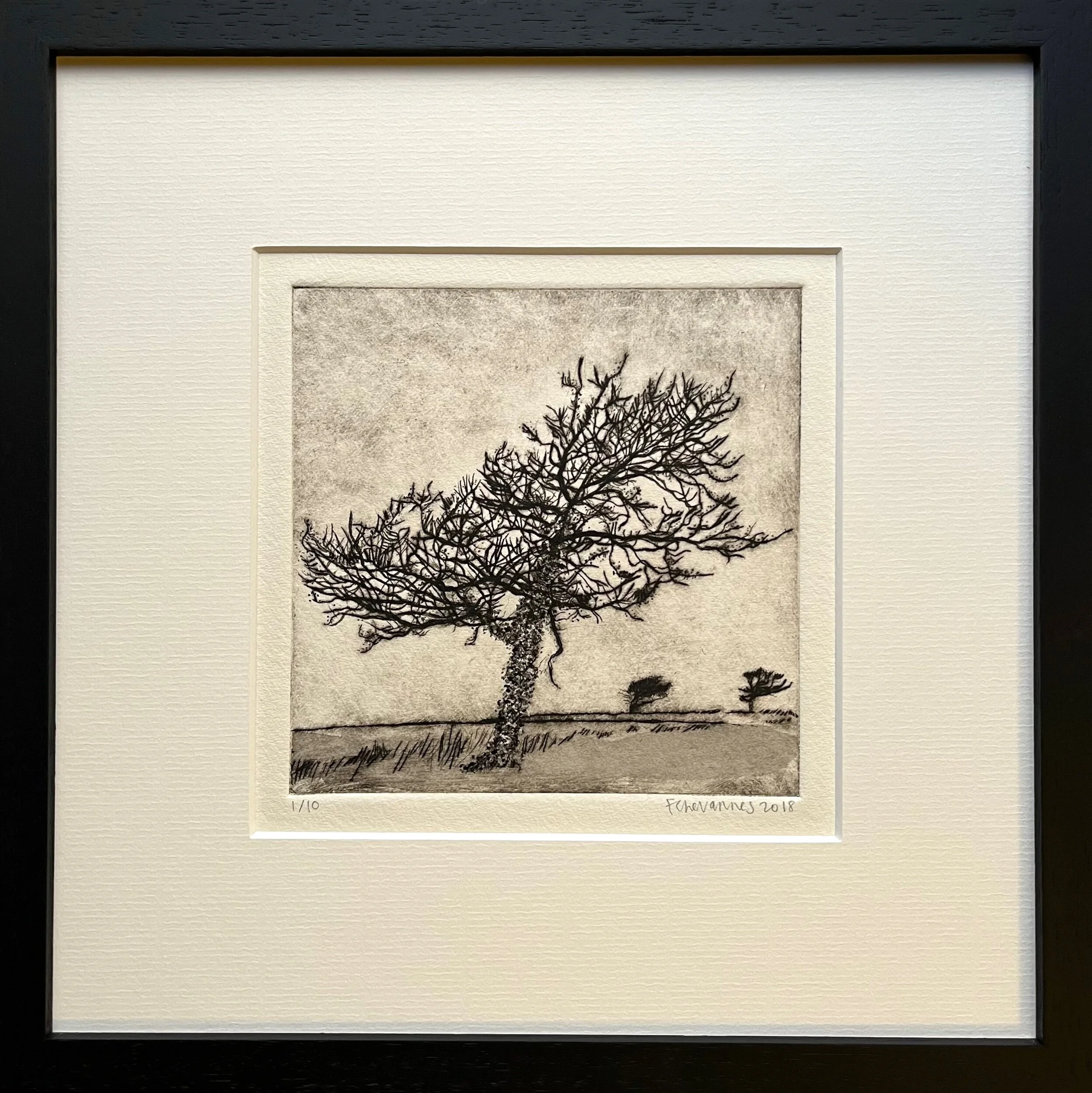 2AF974C0-5BE6-45A9-AC54-656E201AAF64