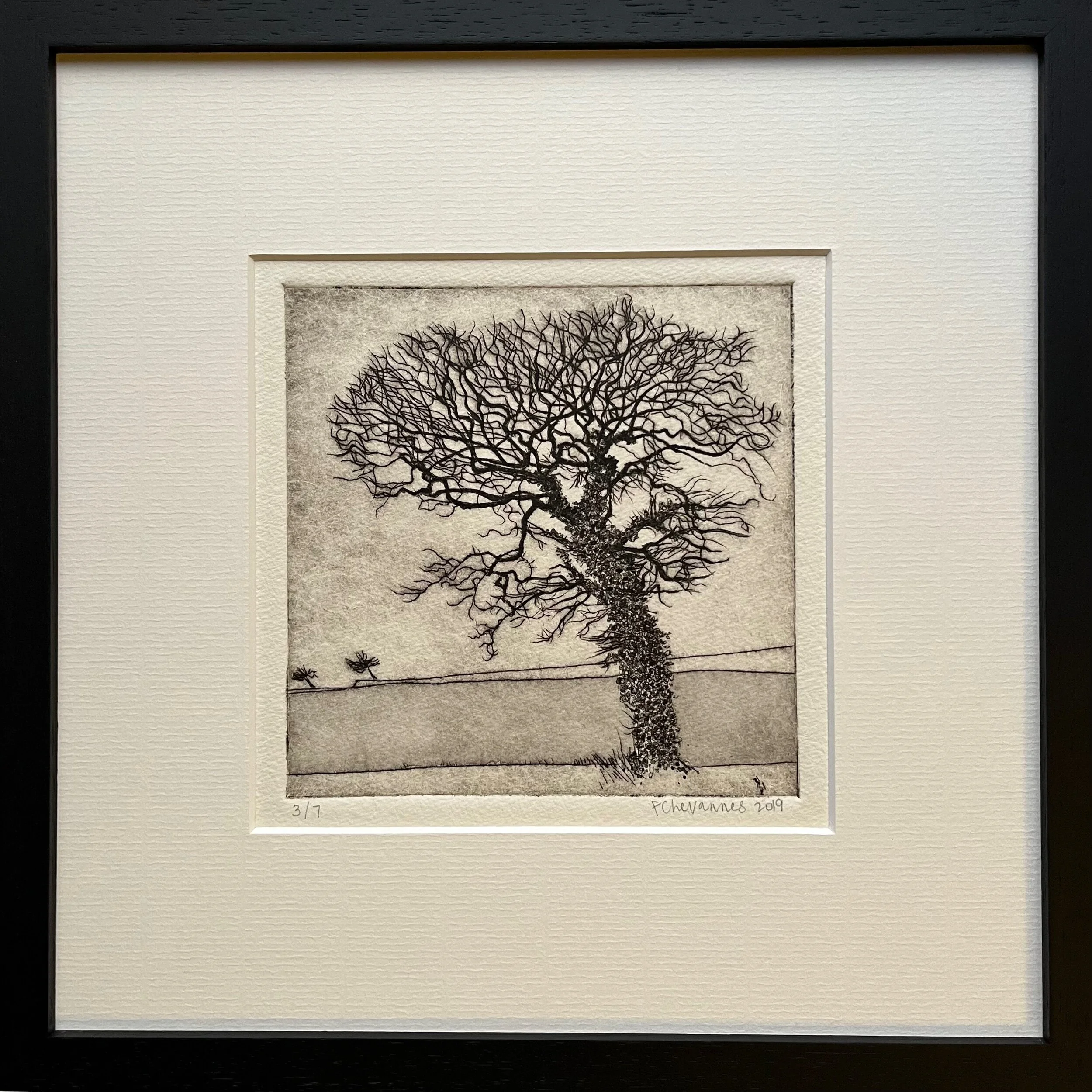 C765D188-C477-459C-9C79-7B71B0C62D1A