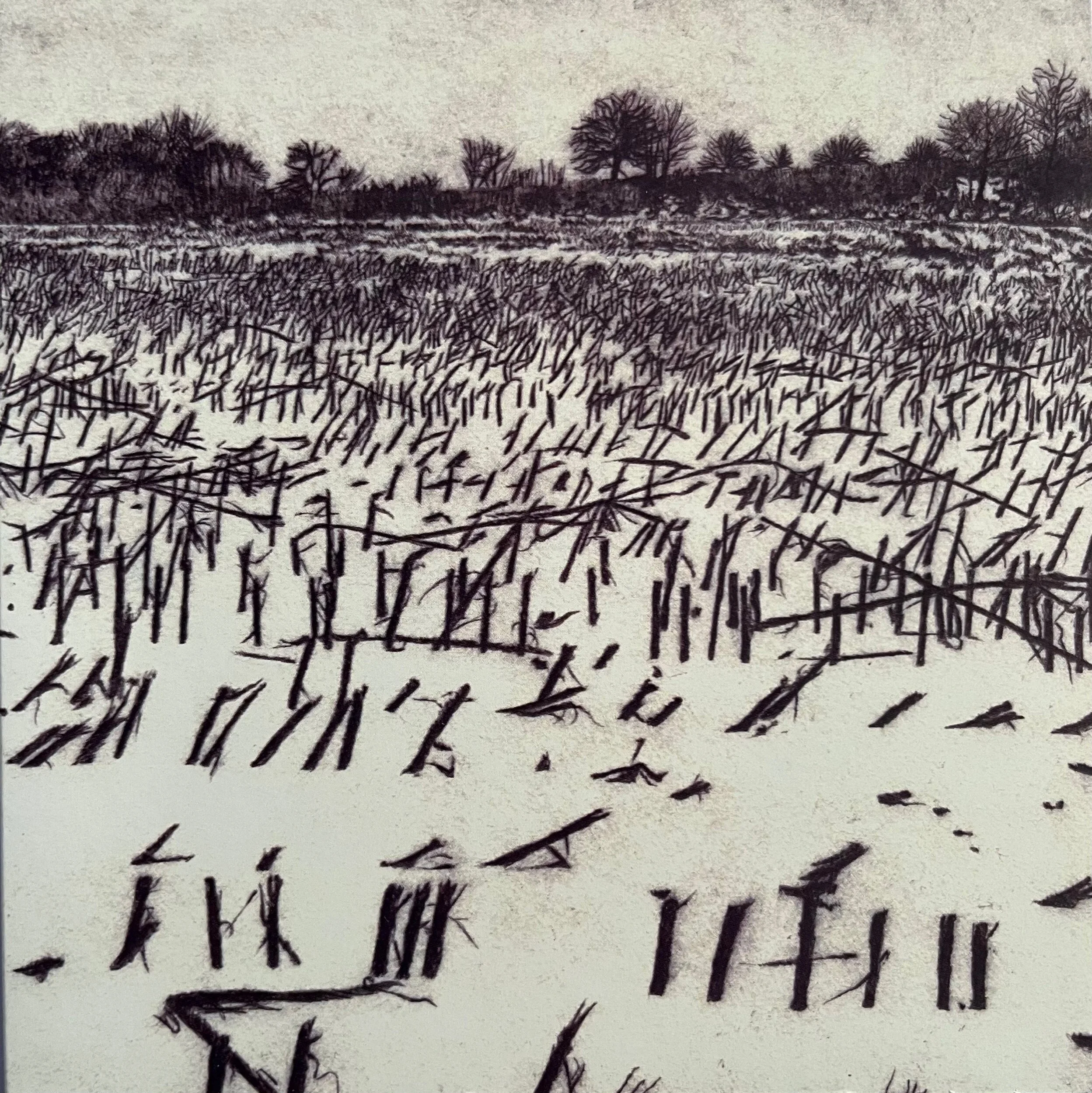 FF060C62-864F-41C2-B31F-D99F024C186F