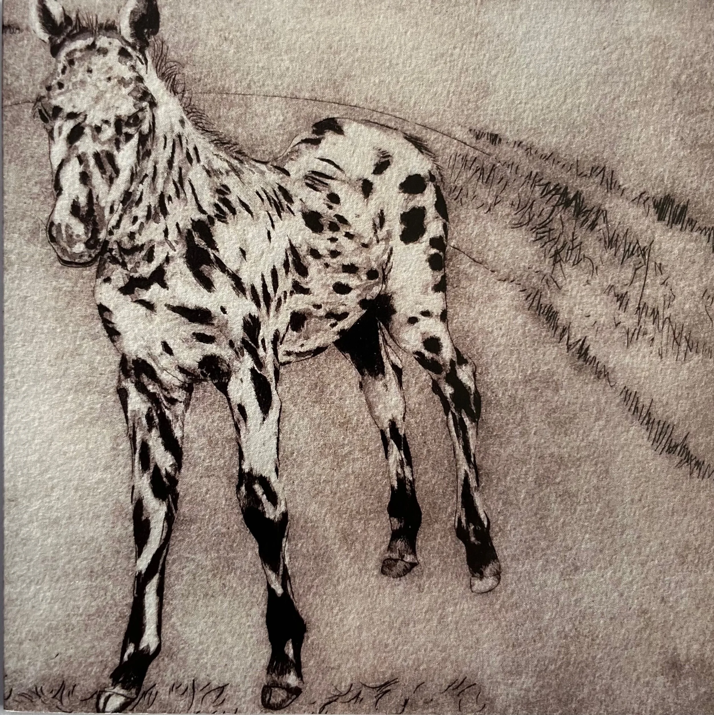 D560DE67-C7E4-4B9F-B842-4133B8CF6BEA