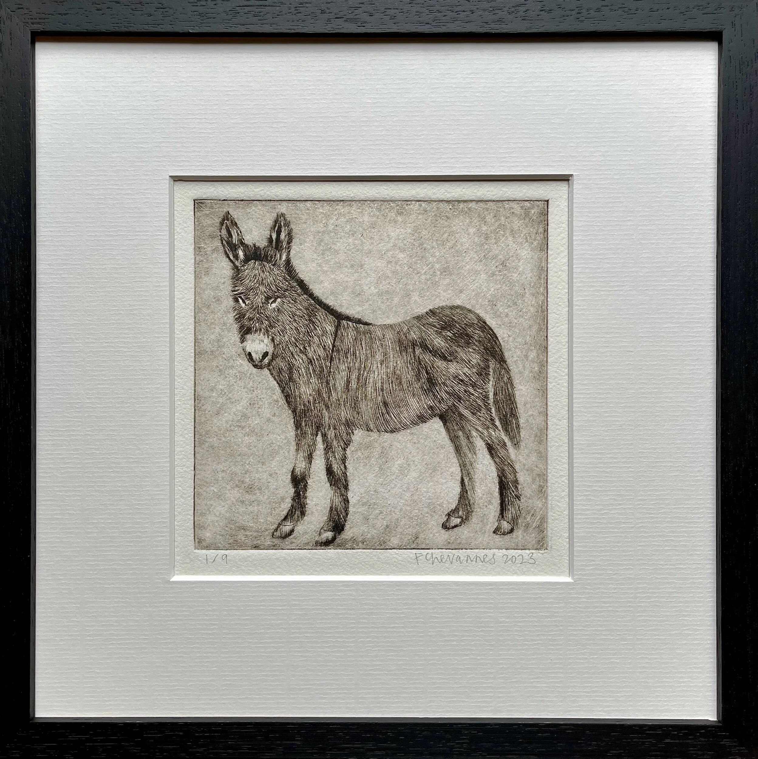 94A6E32F-6B65-4858-9281-27B94ECDCFF3