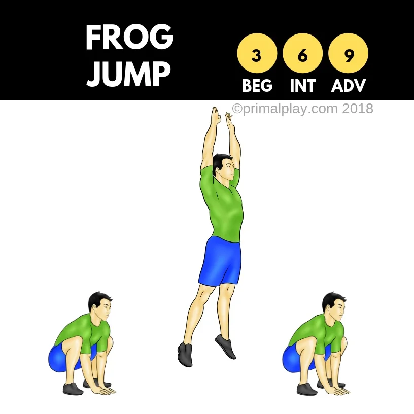Frog Jump Programming – Frog Jump II – VULXM