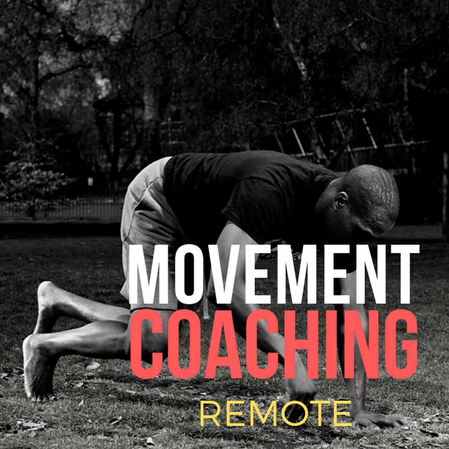Movement-Coaching-Darryl-Edwards-Personal-Training-Remote.jpg