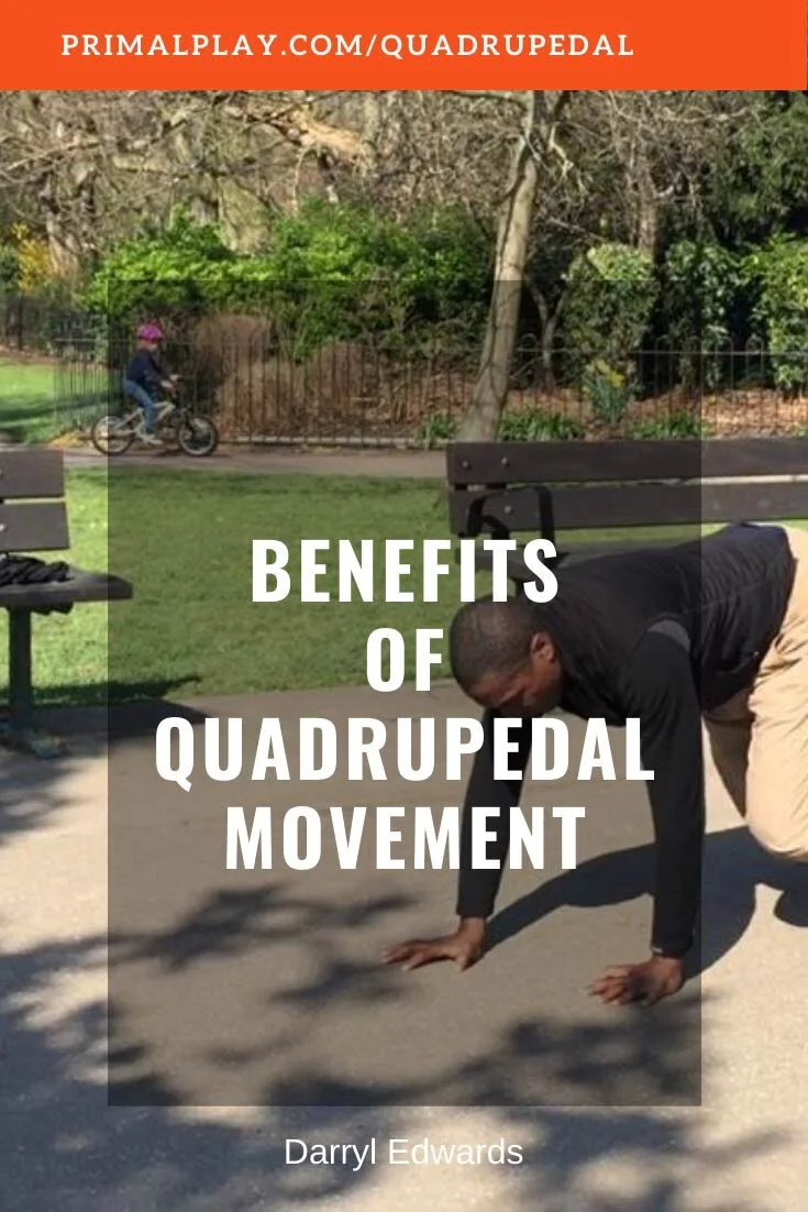 The Benefits of Quadrupedal Movement