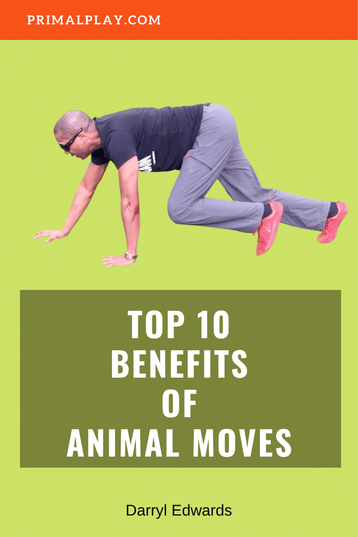 Top 10 Benefits of Animal Moves Workouts