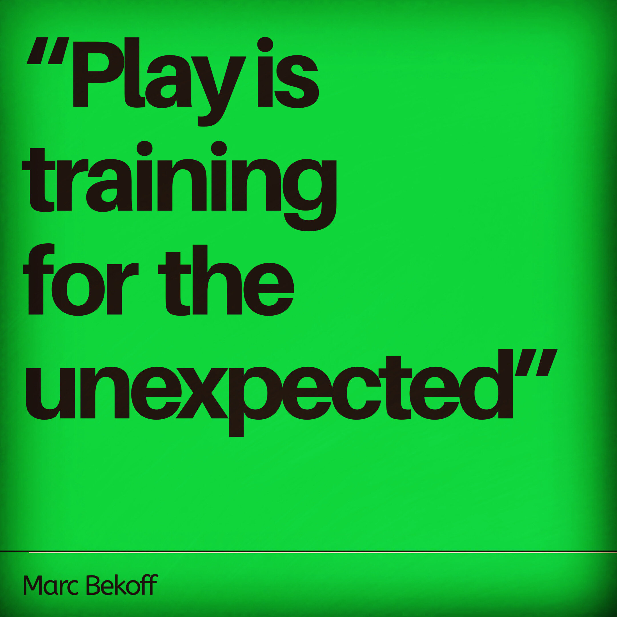Play Is Training For The Unexpected