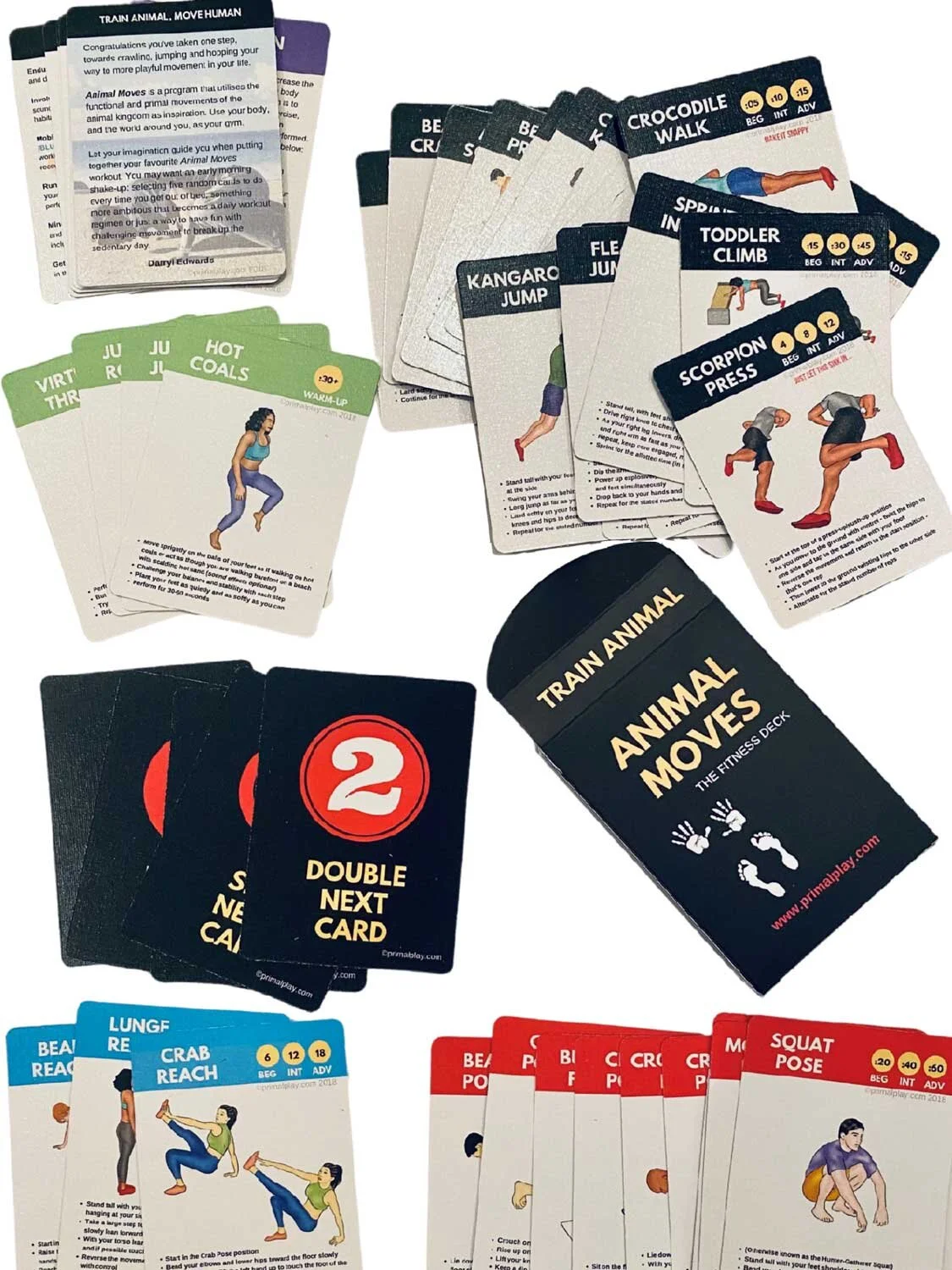 Animal-Moves-All-Cards-web.jpg