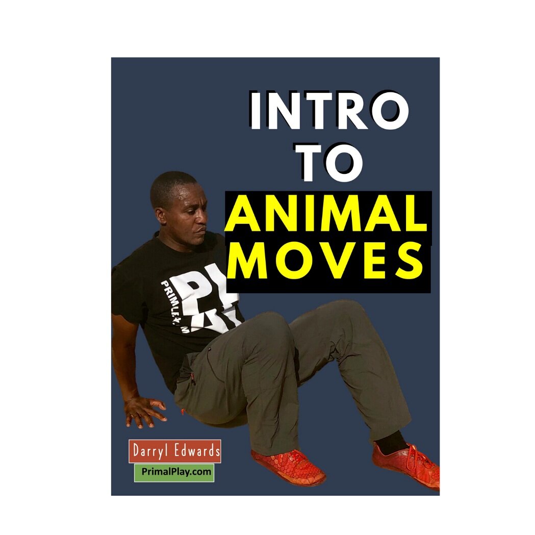 Intro To Animal Moves
