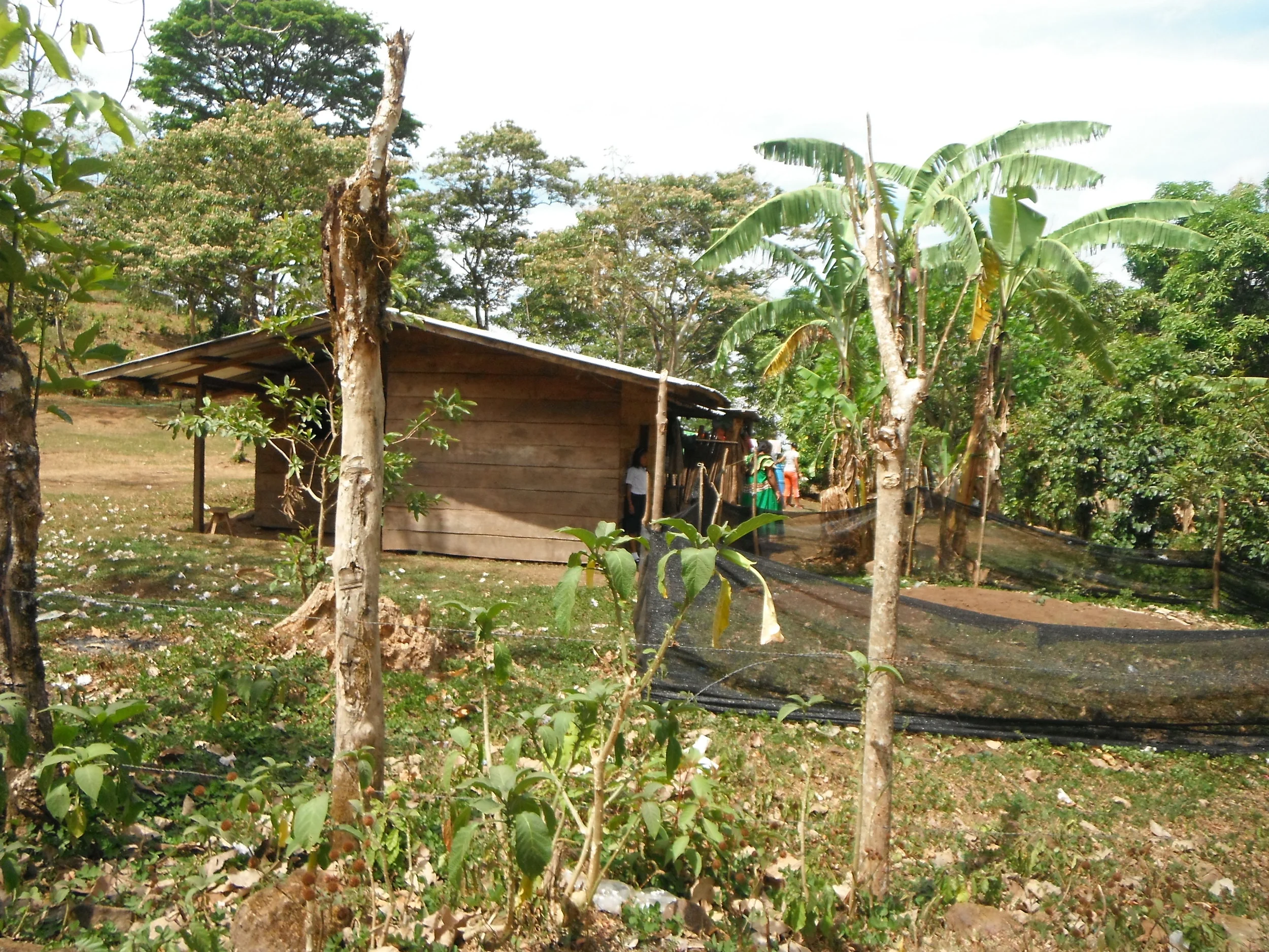 Ngobe Bugle Village