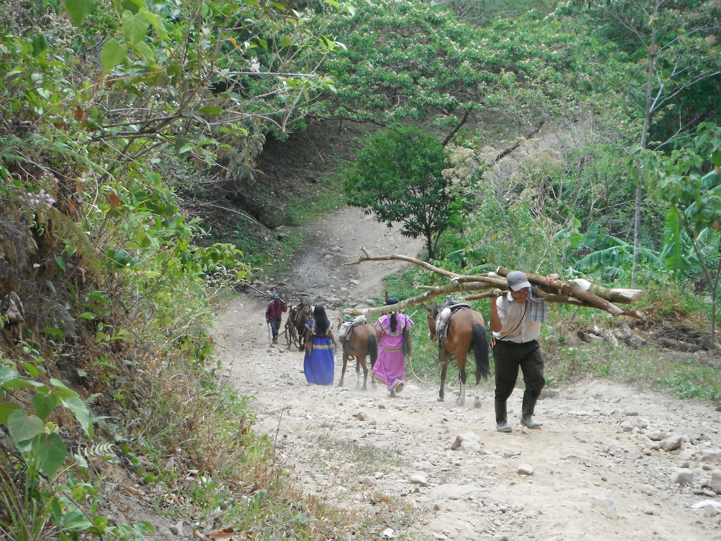 Getting Wood for the Village
