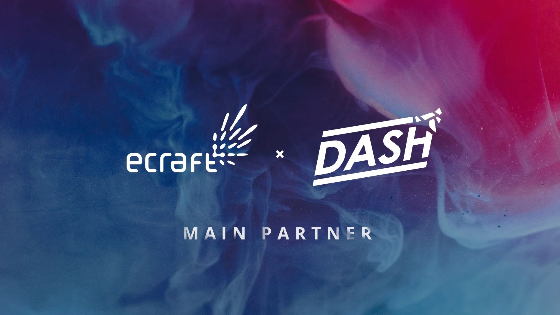 dash-partner (002).jpg