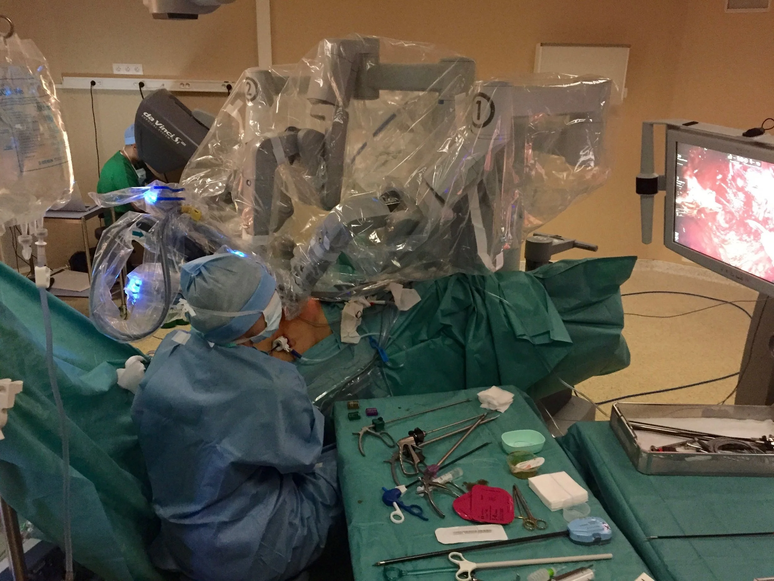 1er prix Laure Fargette.jpg