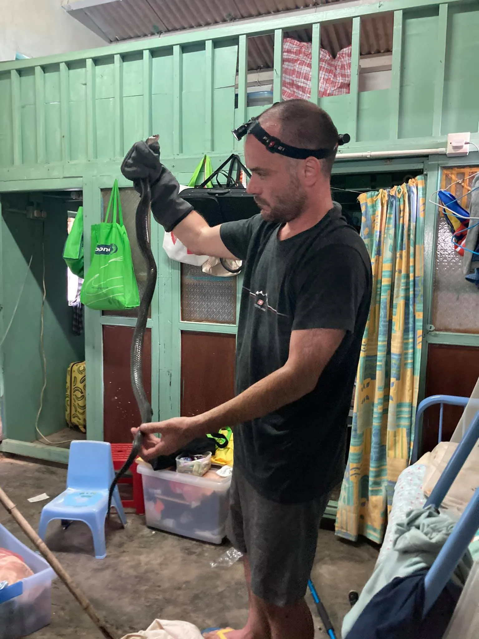 William often has to extract a nervous snake from a cramped space.