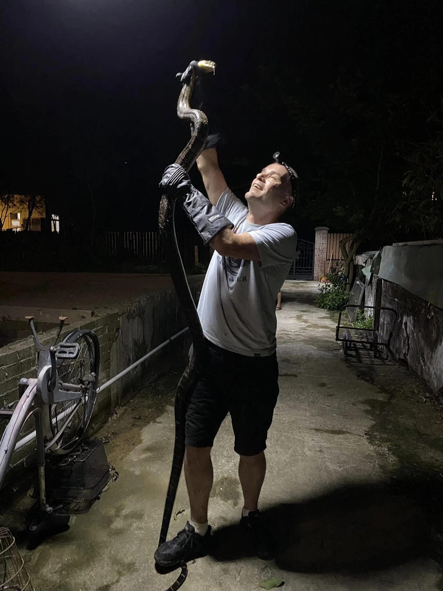 9-10ft King Cobra.