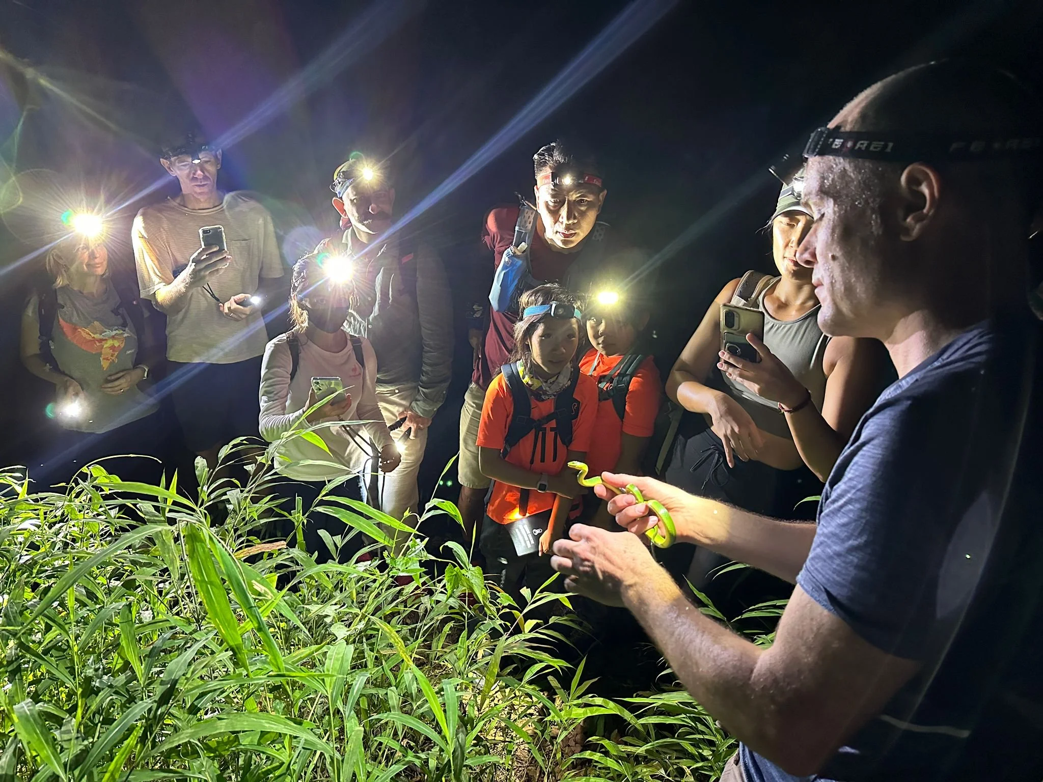 William leads a nighttime snake safari.