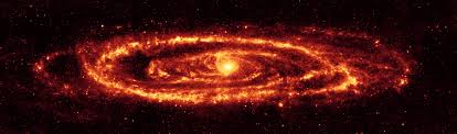 Is the universe just one giant brain? 