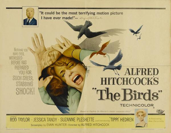 Hitchcock had no blind spot in identifying the massive power of crows