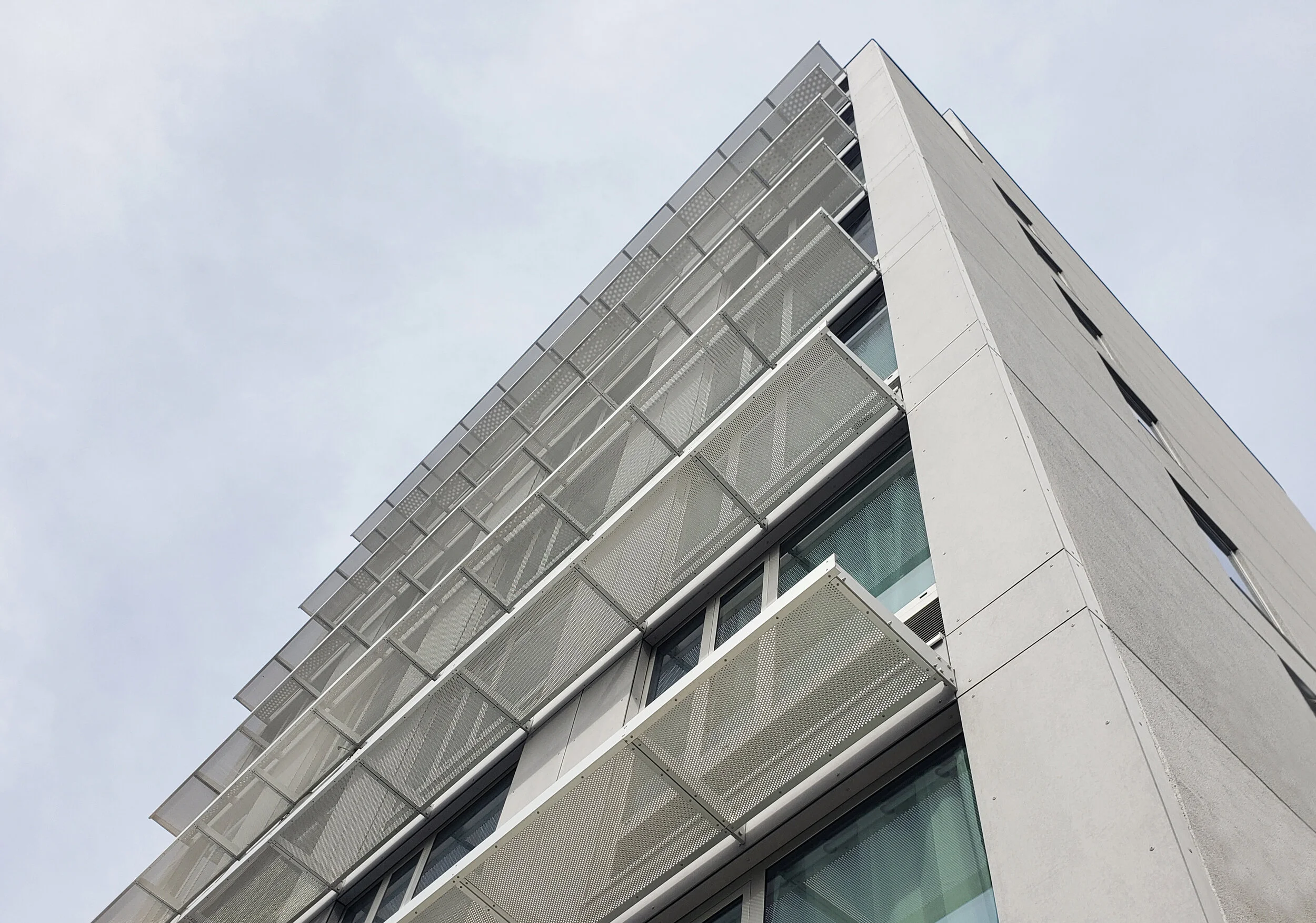 20190308_103418 - 2.jpg