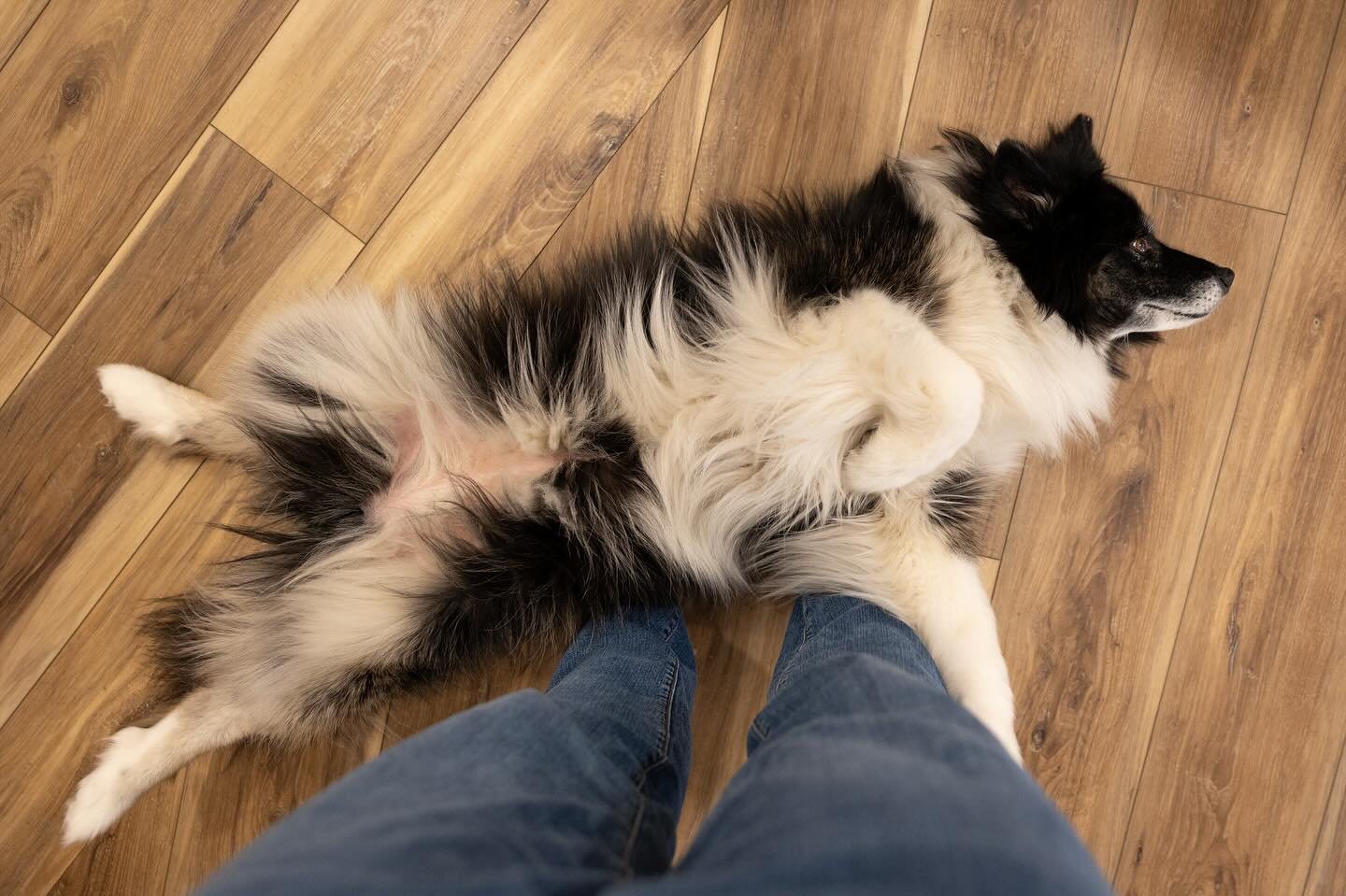 Sally was the best assistant today for our session at @lucewellness