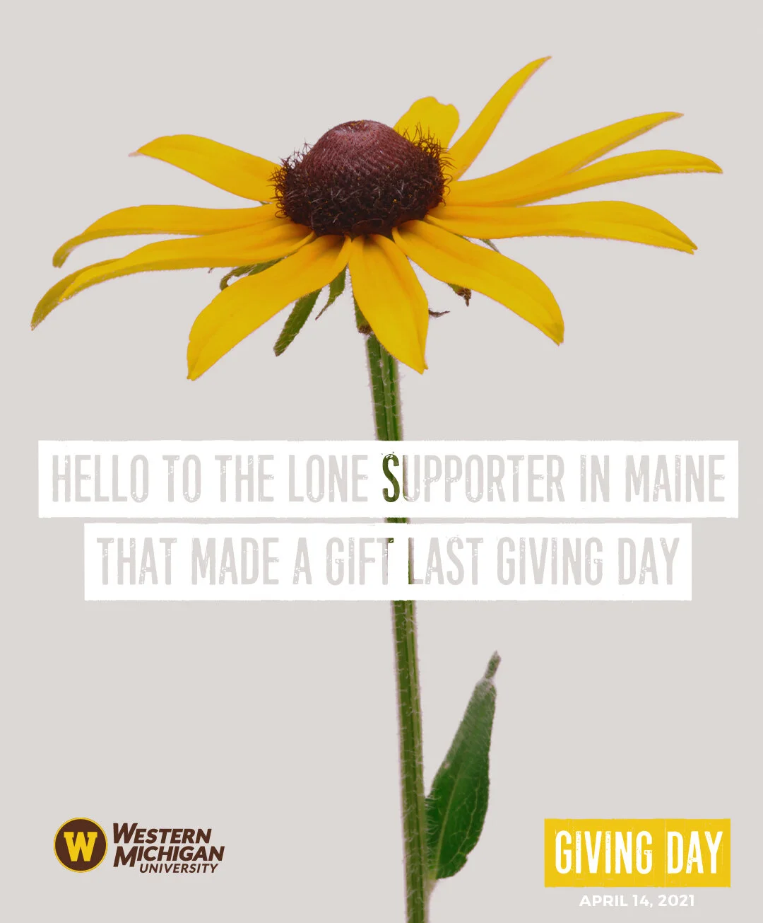 GD21Maine.jpg