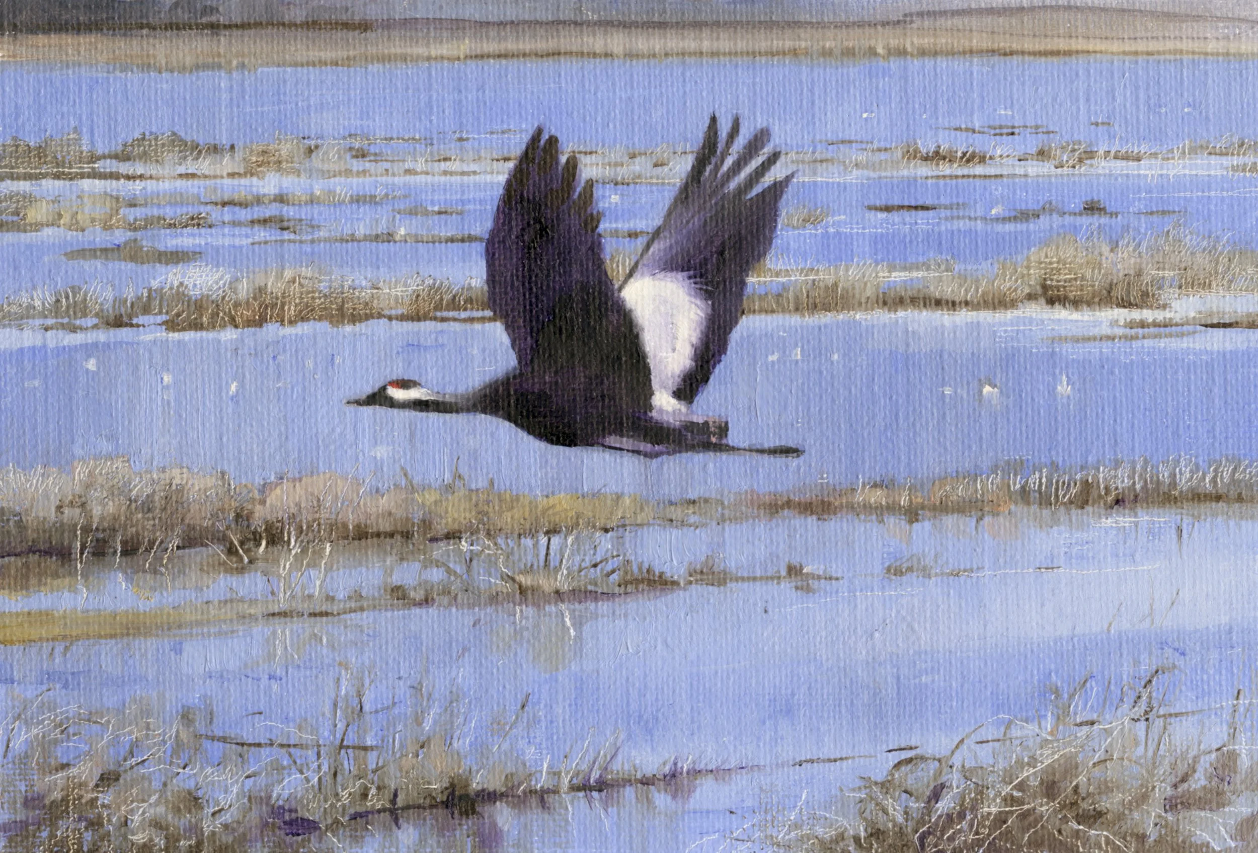 Crane.jpg