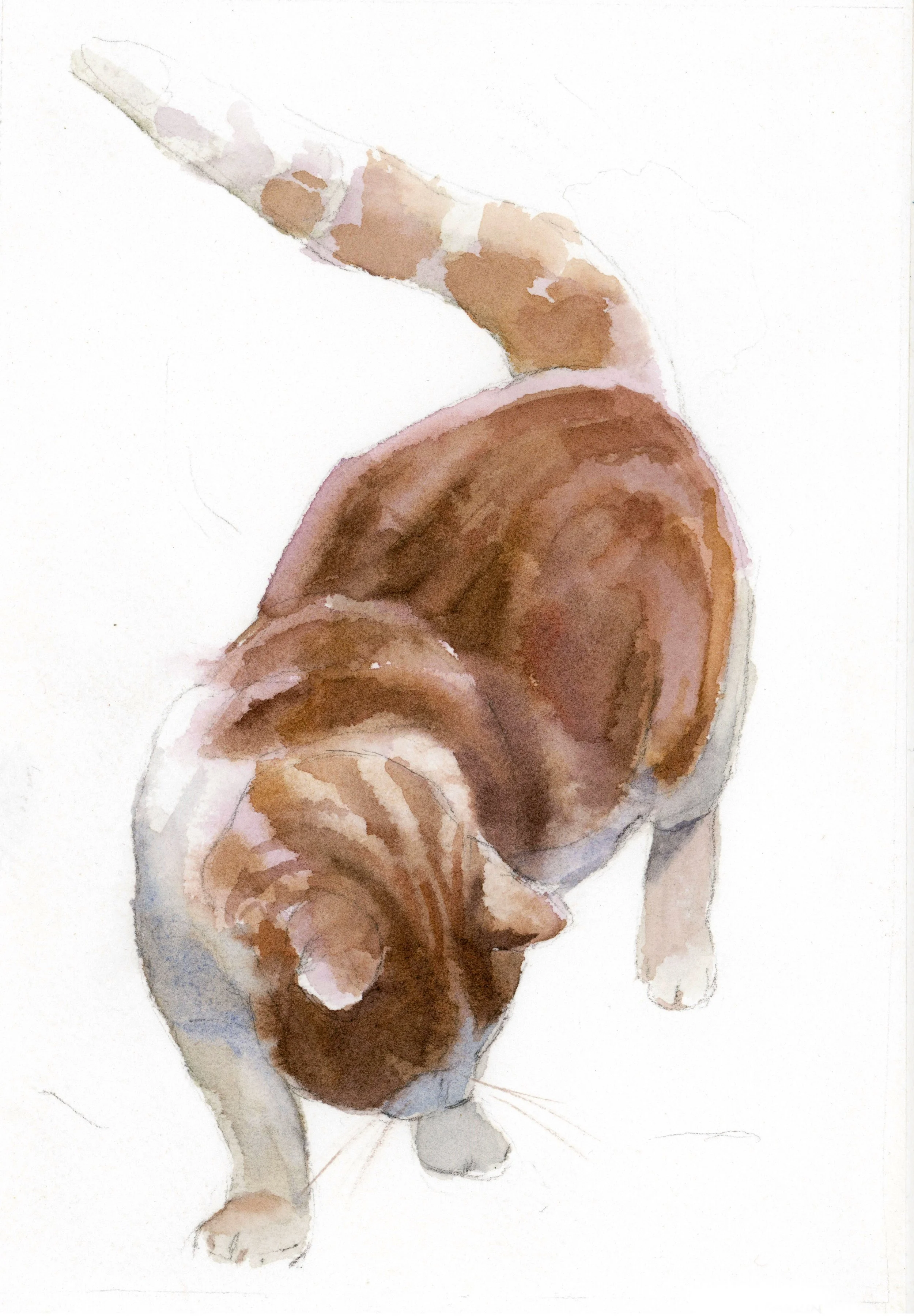 Titus jagar gräshoppor, Abrantes. Akvarell 30x40 cm.jpg