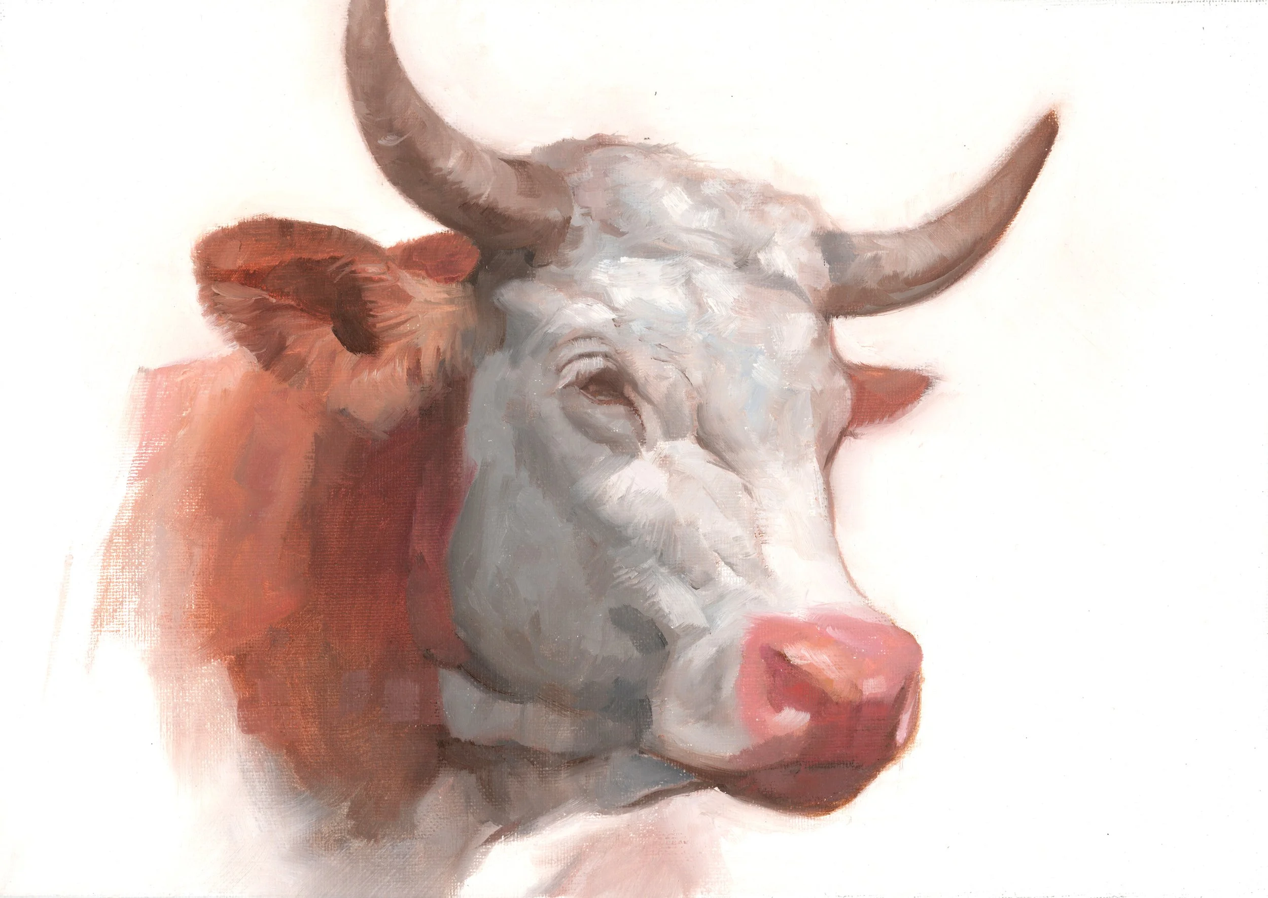 Hereford II, Glimminge, olja 30x40 cm.jpg
