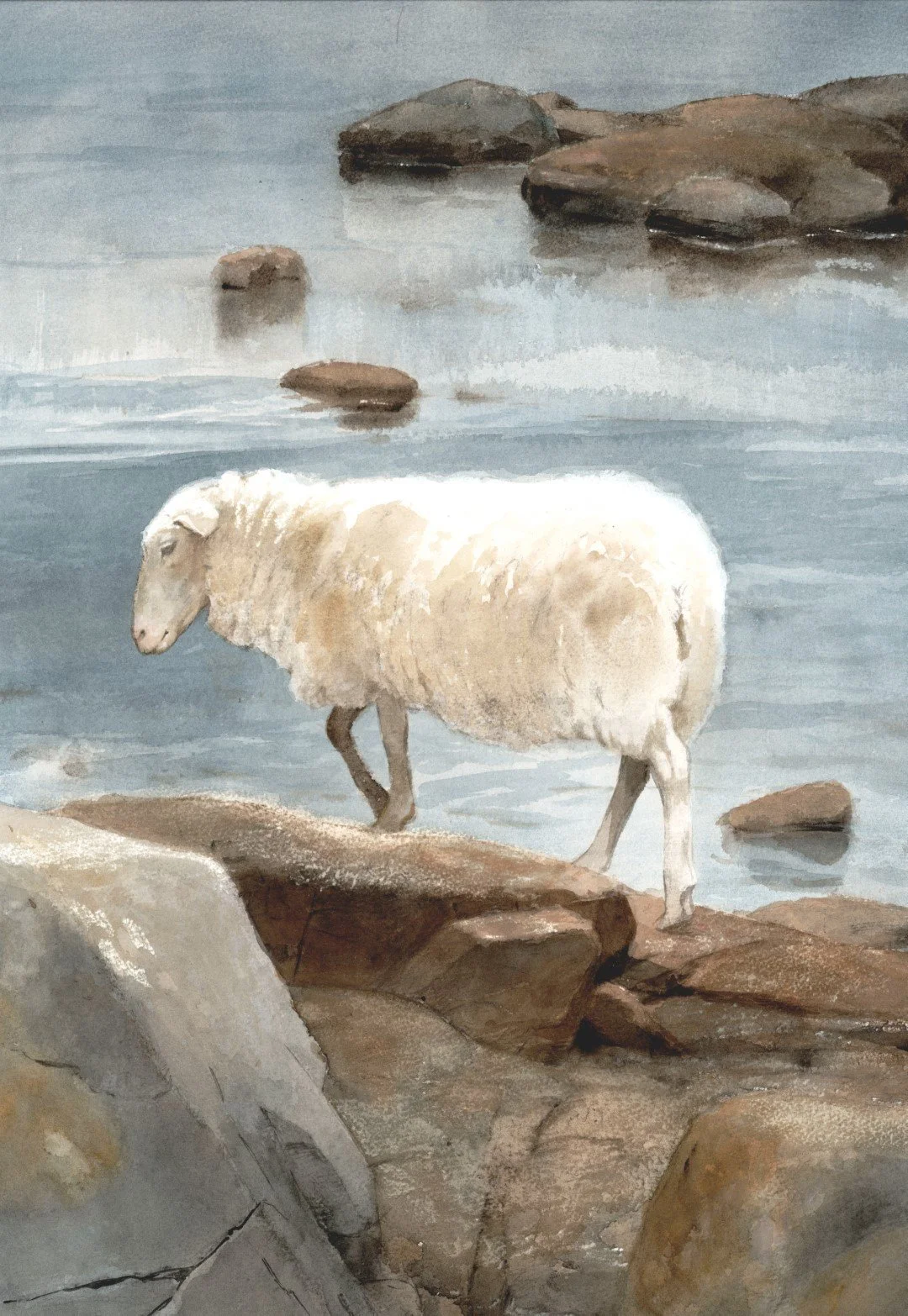 Får, Torekov strand. Akvarell 73x93 cm.jpg