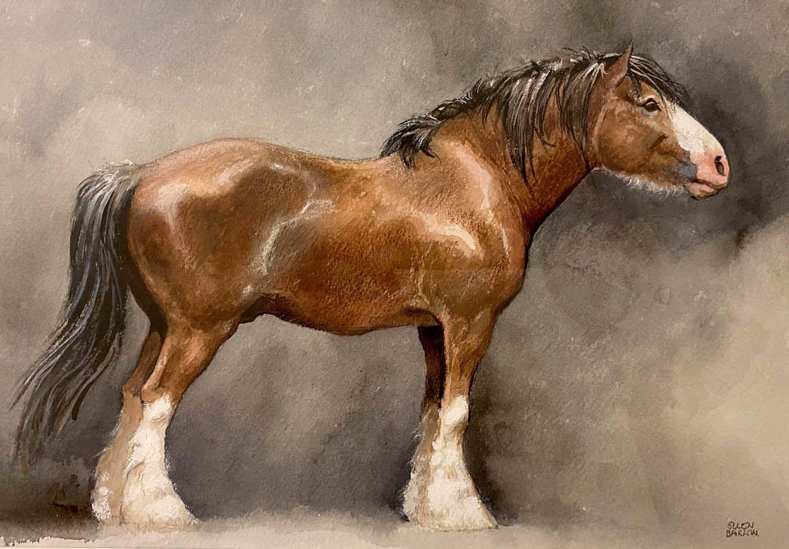 Shirehäst, akvarell och gouache 40x30 cm.jpg