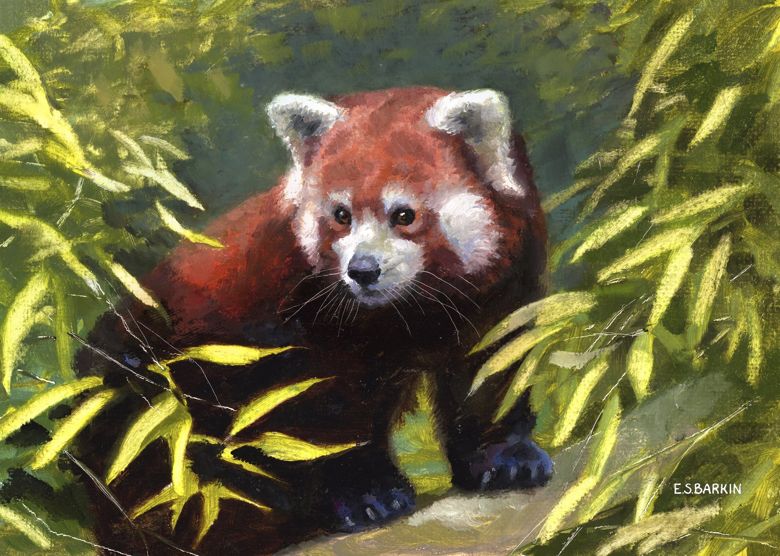 red panda postcard edit.jpg