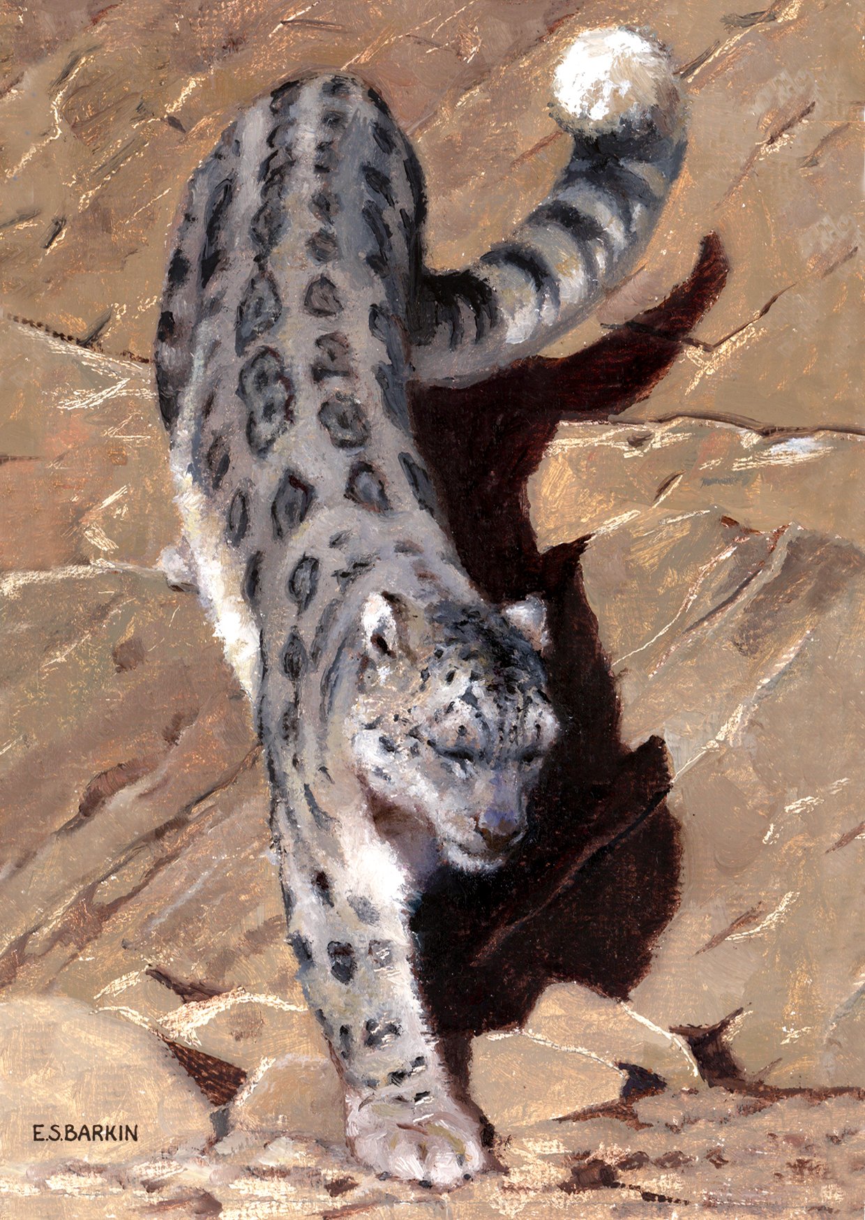 snow leopard postcard edit.jpg