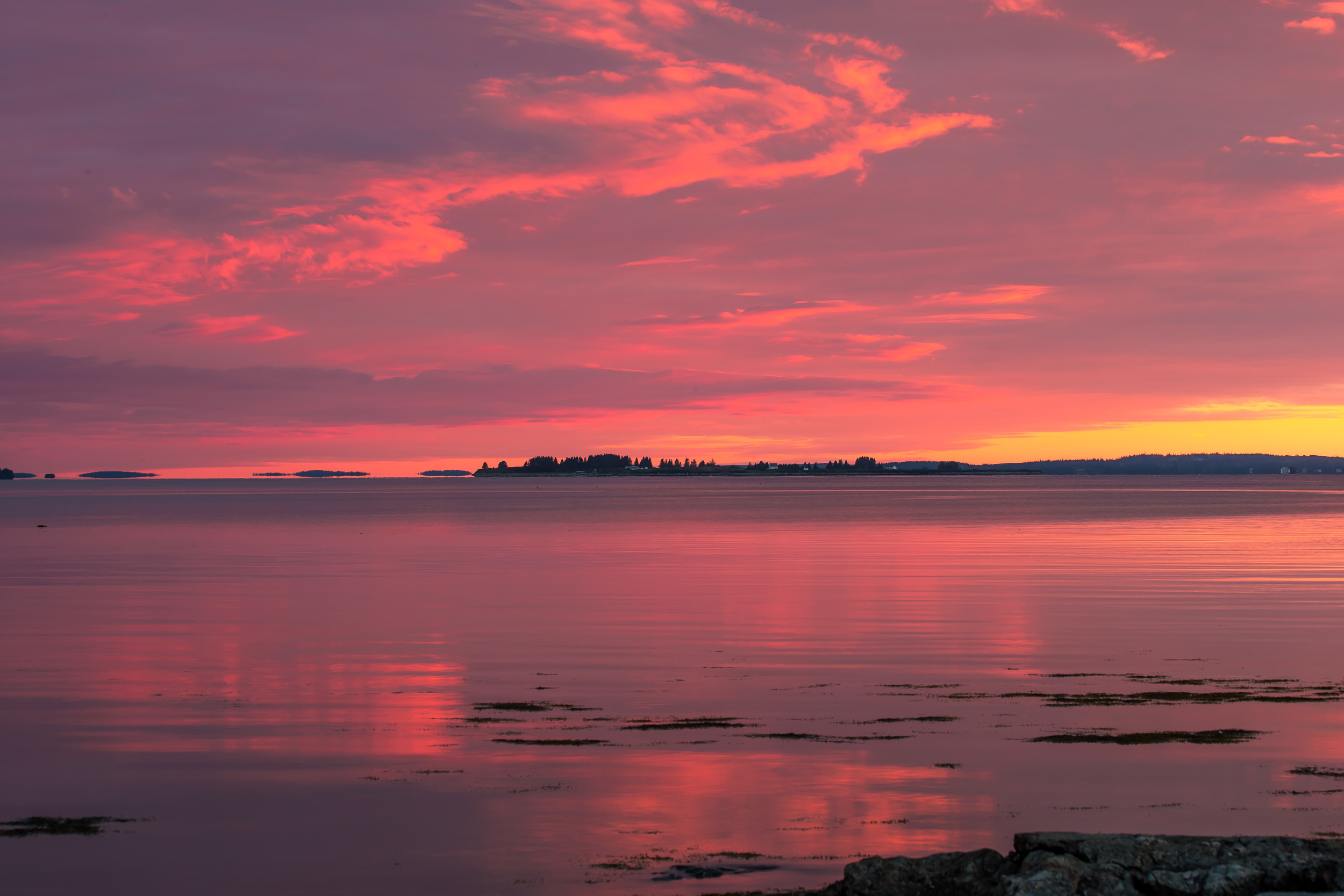 Seal Cove Sunset 1102