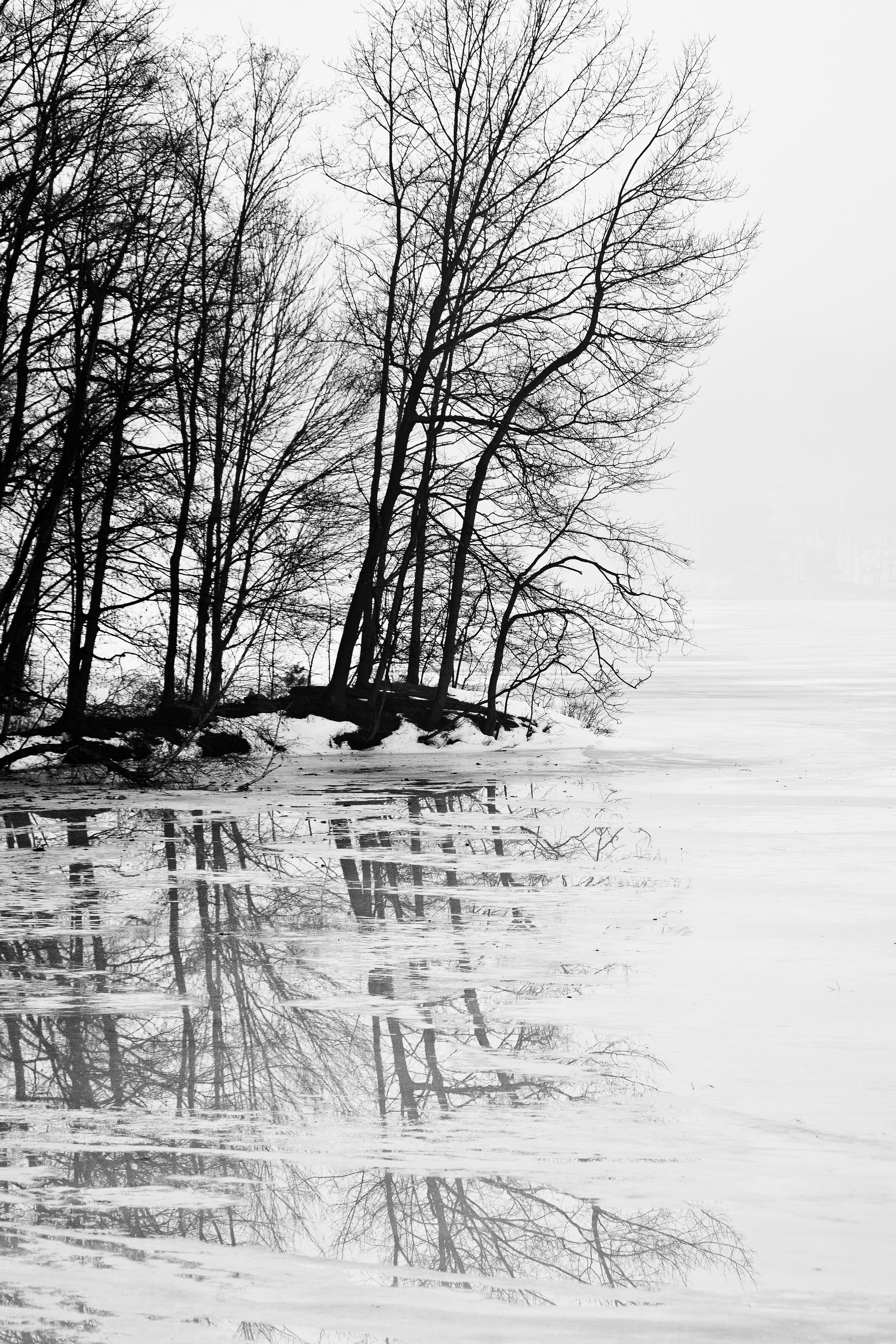 Winter Reflections 1025
