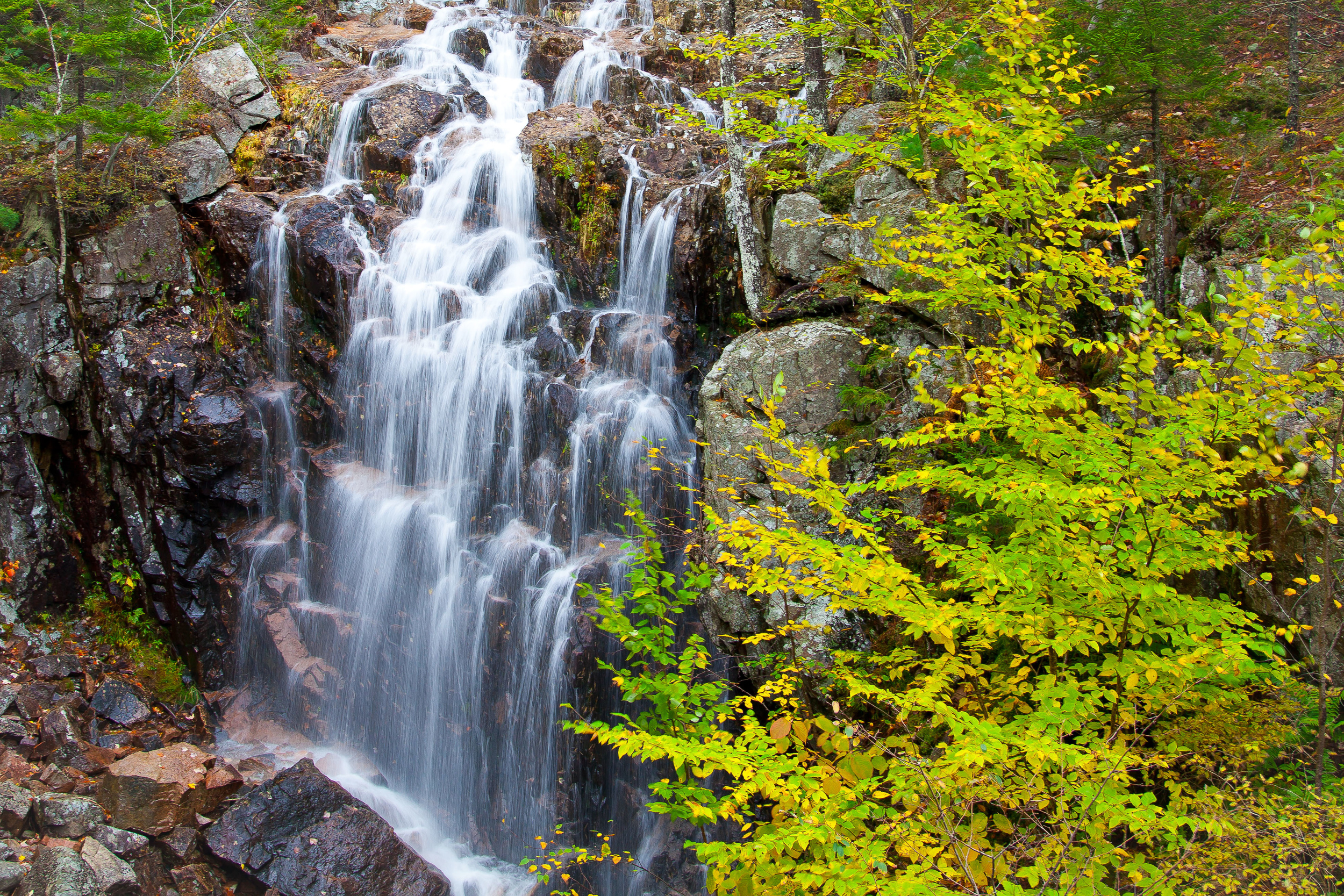 Hadlock Falls 1003