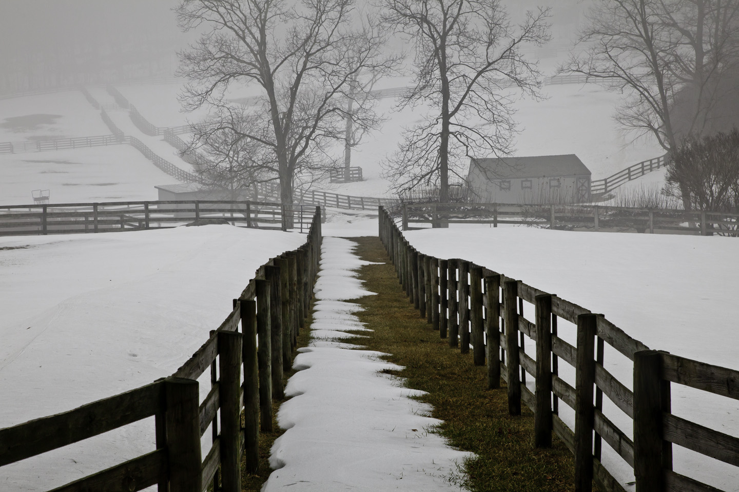 Winter Horse Farm 1024