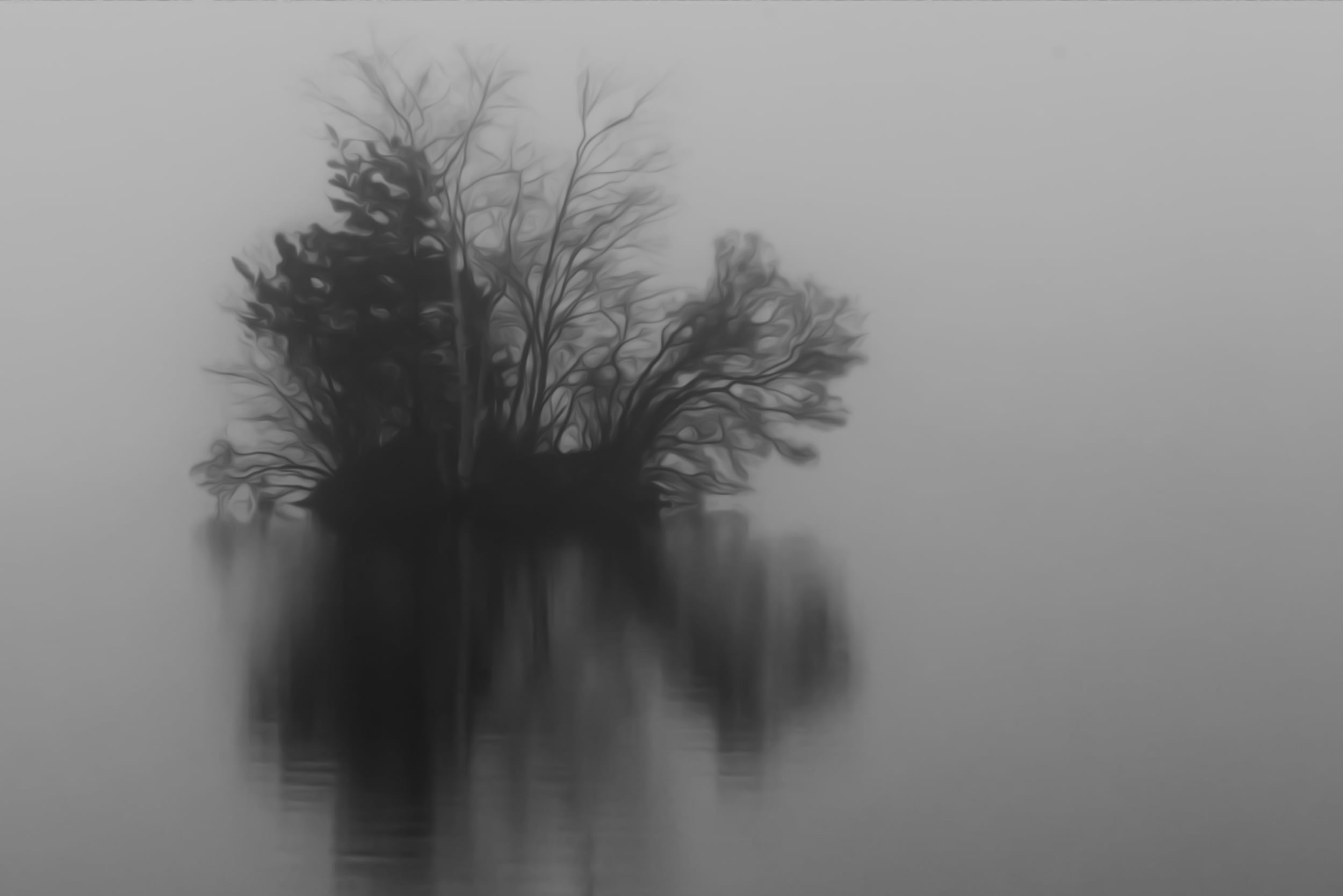 Island in the Mist
