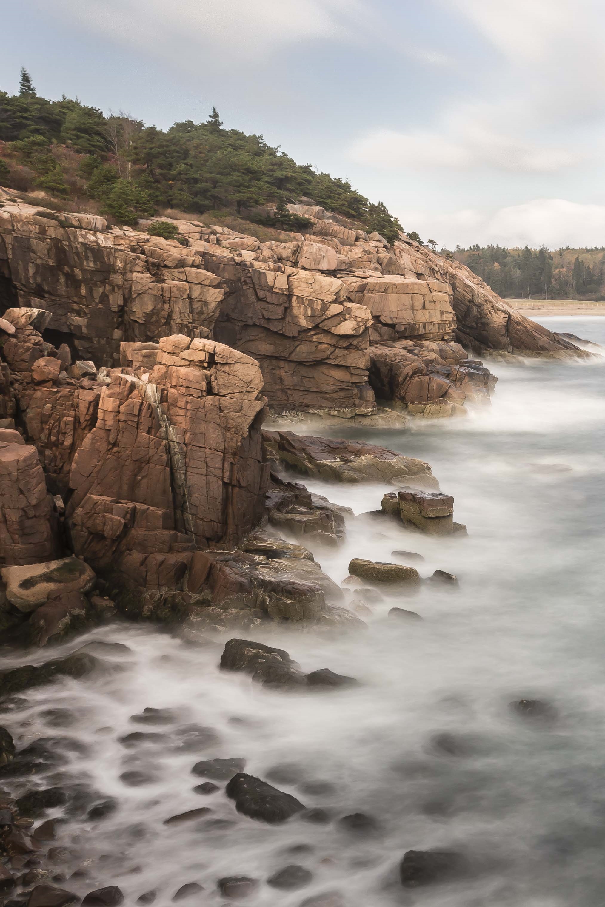 Ageless Cliffs, Constant Waves.            Acadia Shoreline 1153