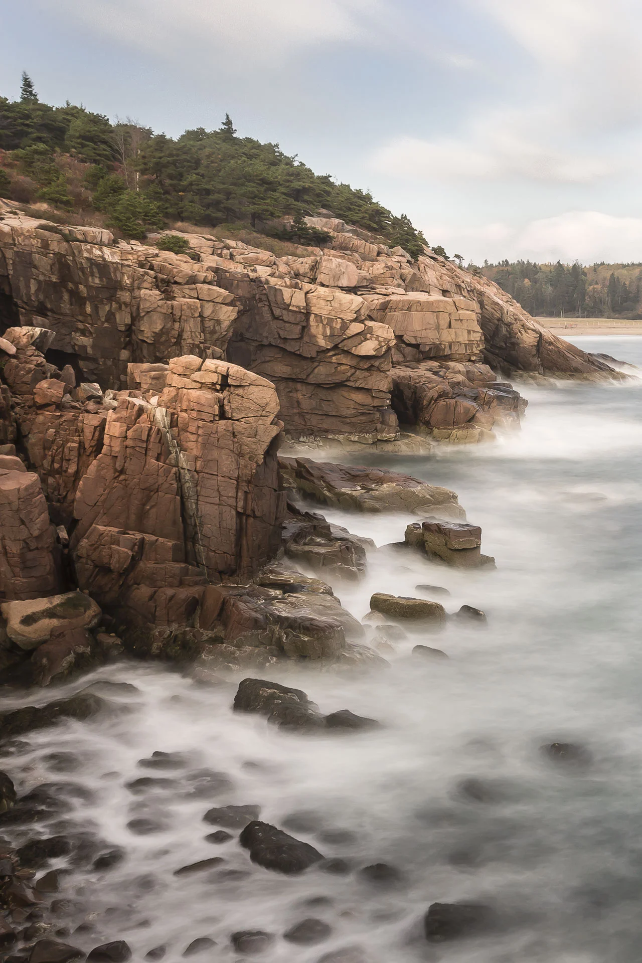 Acadia Morning