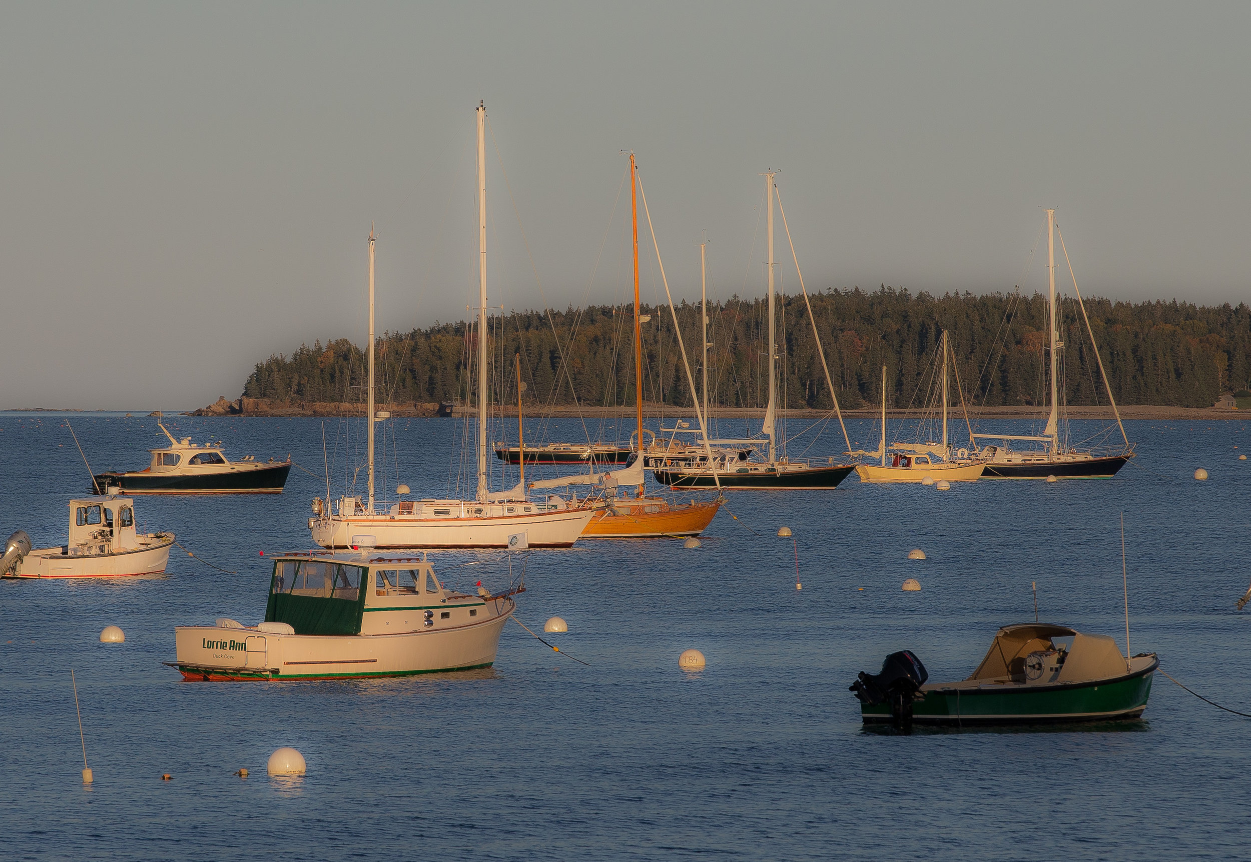 Southwest Harbor Light 1159