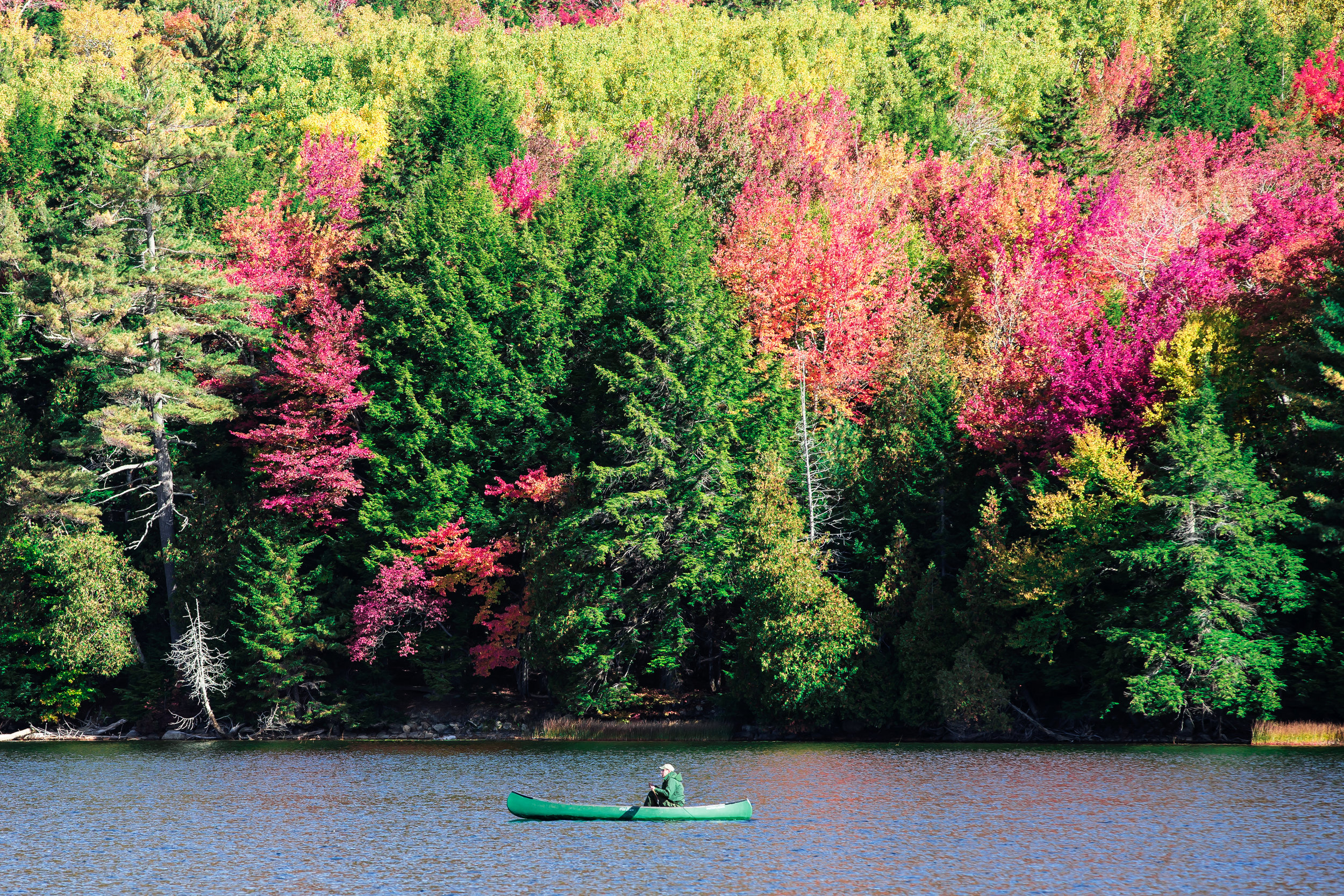 Canoe and Color 1166