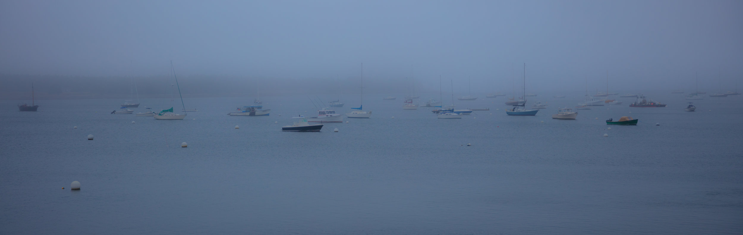 Southwest Harbor Fog